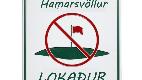 Lokum Hamarsvallar - frá og með 17. okt.